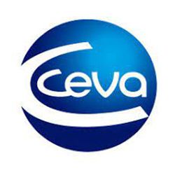 ceva.jpg